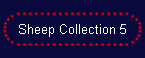 Sheep Collection 5